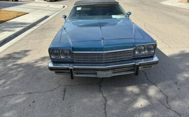 Buick-lesabre-1975-blue-5