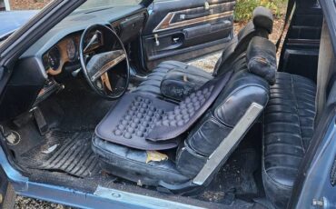 Buick-regal-1993-blue-3