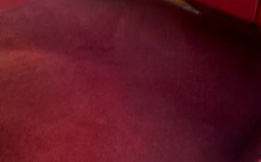 Buick-riviera-1969-6