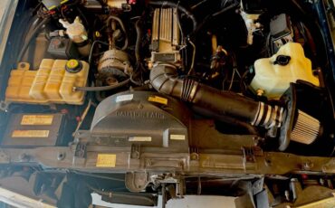 Buick-roadmaster-estate-1996-green-6