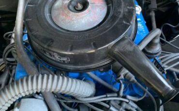 Buick-skylark-1965-grey-8