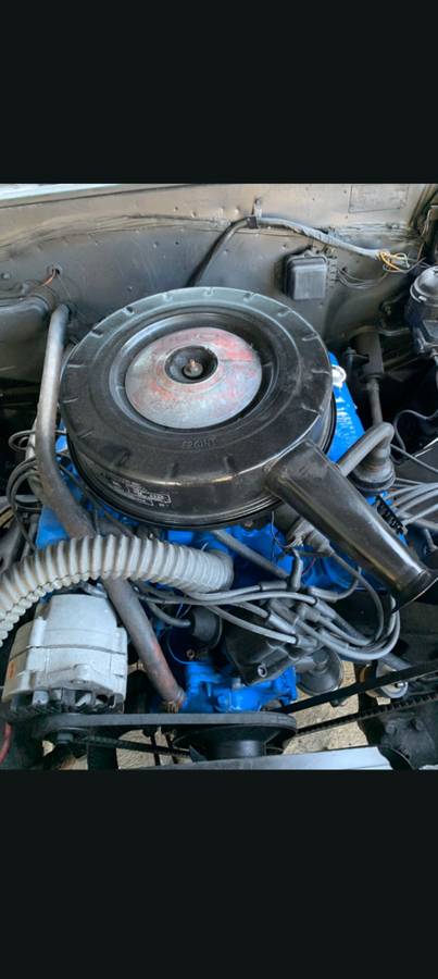 Buick-skylark-1965-grey-8