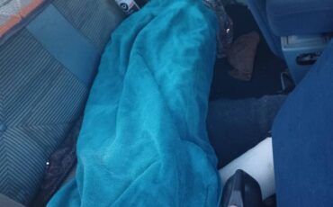 Buick-skylark-1965-yellow-1