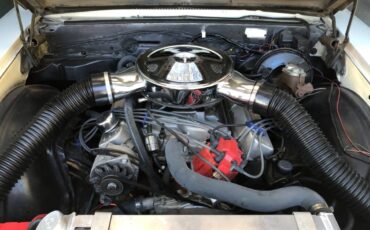 Buick-skylark-1967-white-10