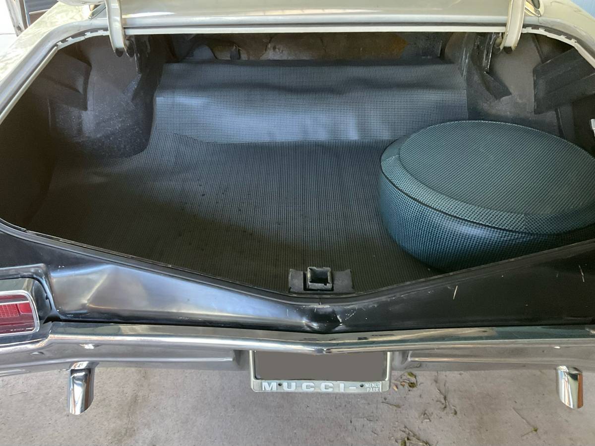 Buick-skylark-1967-white-13