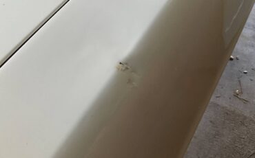 Buick-skylark-1967-white-19