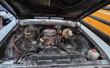 Buick-skylark-1968-5