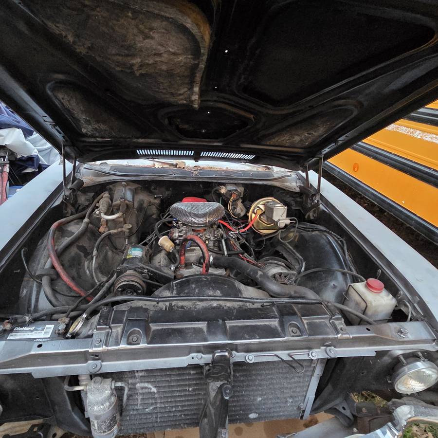 Buick-skylark-1968-5