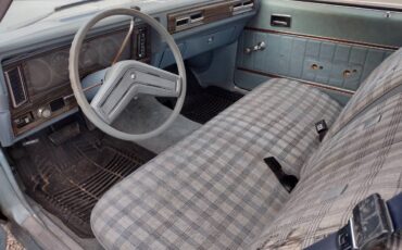 Buick-skylark-1978-6