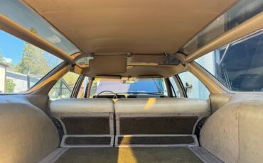 Buick-sport-wagon-1968-brown-3