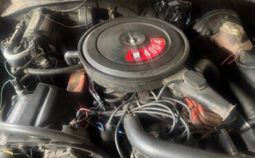 Buick-sport-wagon-1968-brown-8