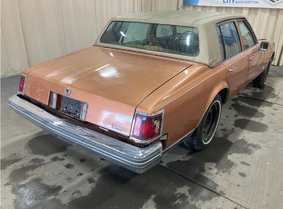 Cadillac-1977-custom-1