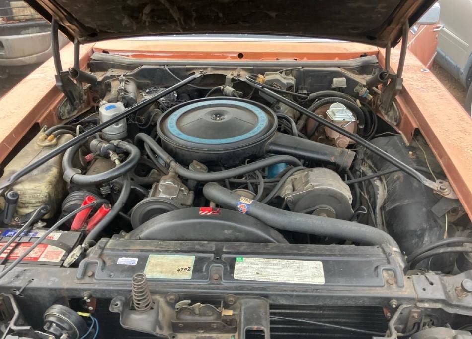 Cadillac-1977-custom-3