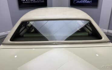 Cadillac-DeVille-1976-19