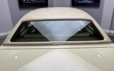 Cadillac-DeVille-1976-19