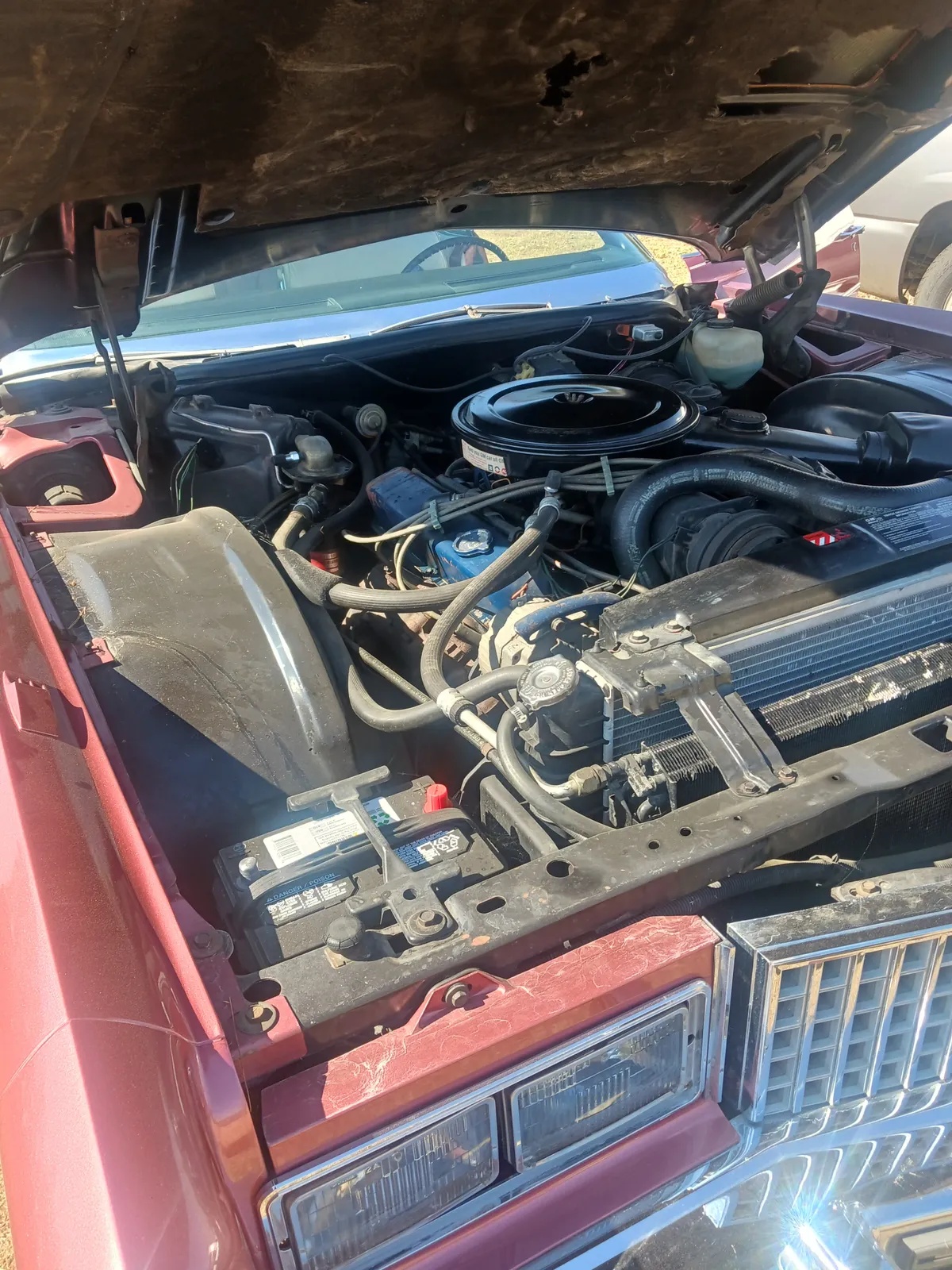 Cadillac-Eldorado-1974-Desert-Rose-White-1