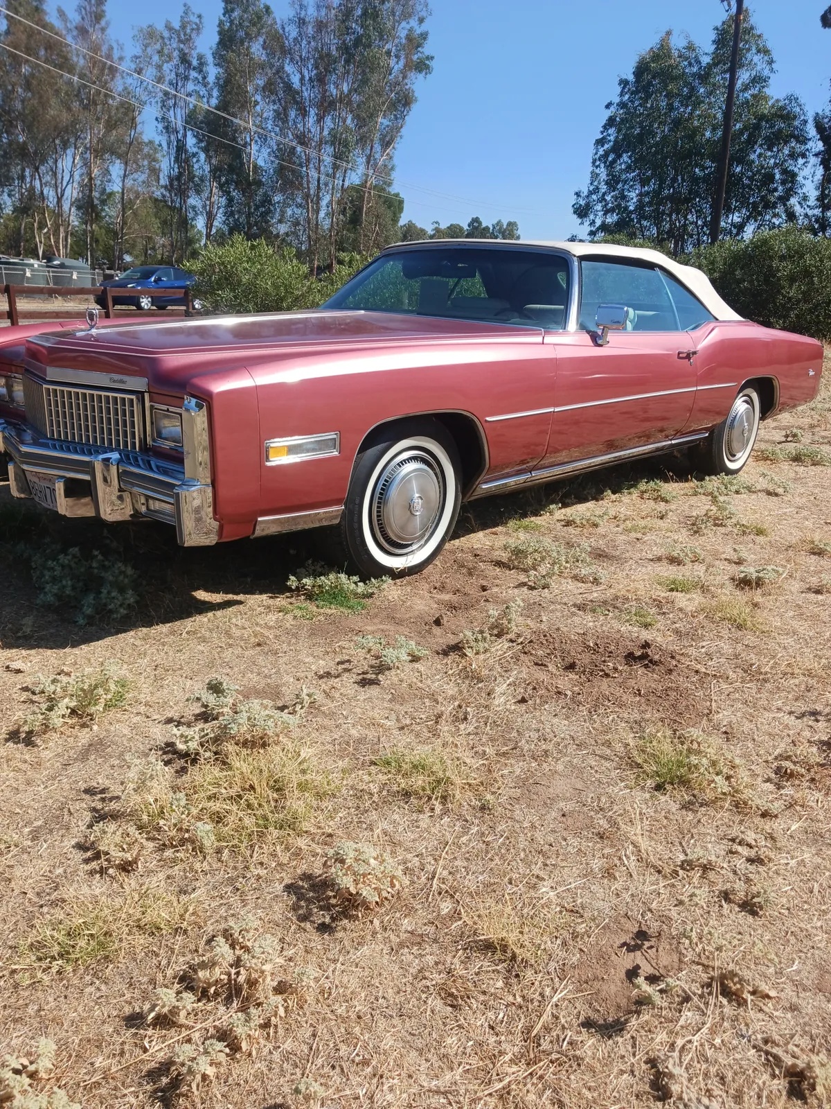 Cadillac-Eldorado-1974-Desert-Rose-White