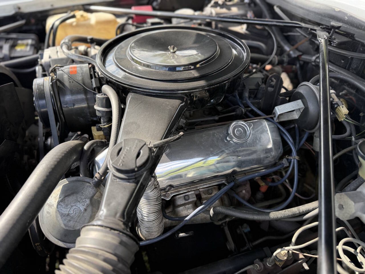 Cadillac-Eldorado-1982-Coupe-23