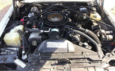 Cadillac-Eldorado-1985-Biarritz-23