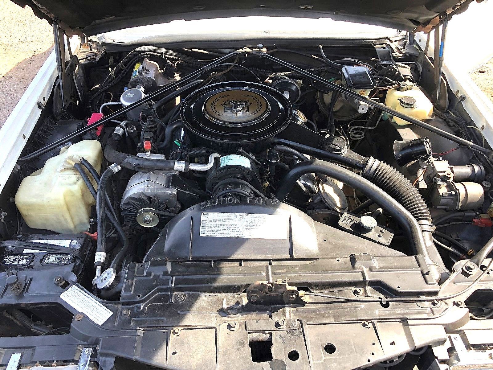 Cadillac-Eldorado-1985-Biarritz-23