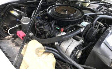 Cadillac-Eldorado-1985-Biarritz-24