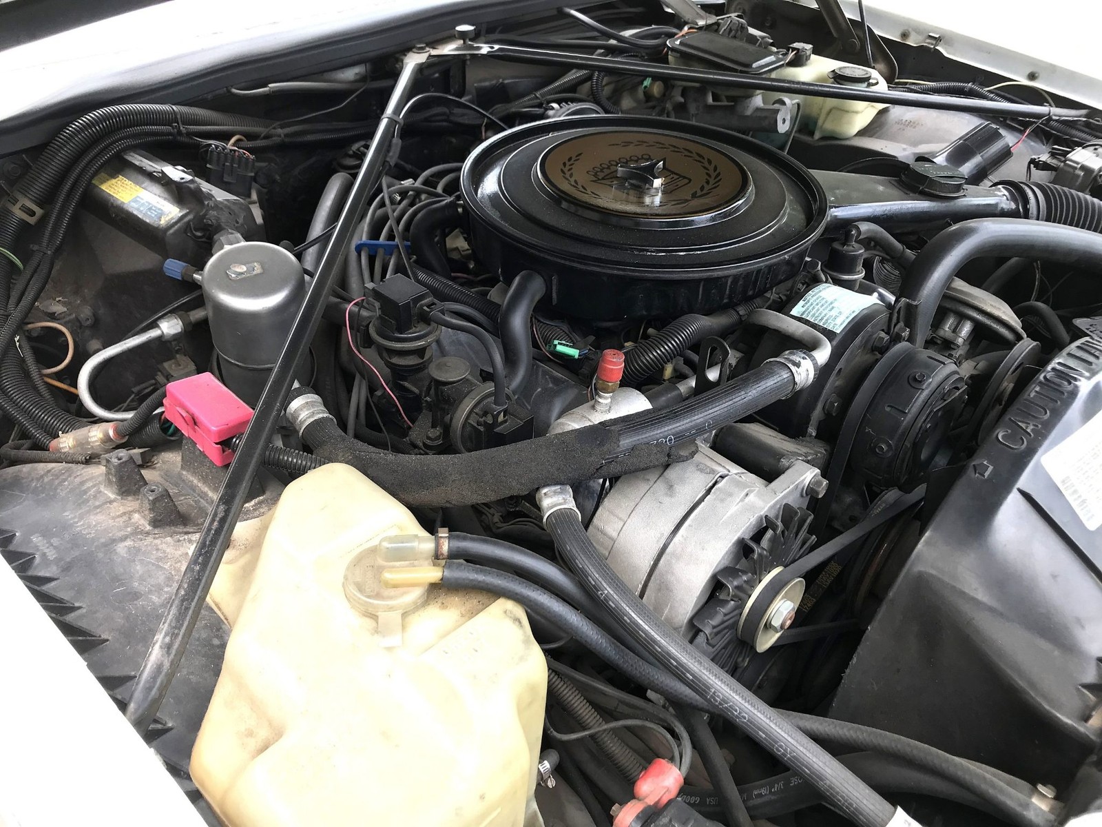 Cadillac-Eldorado-1985-Biarritz-24