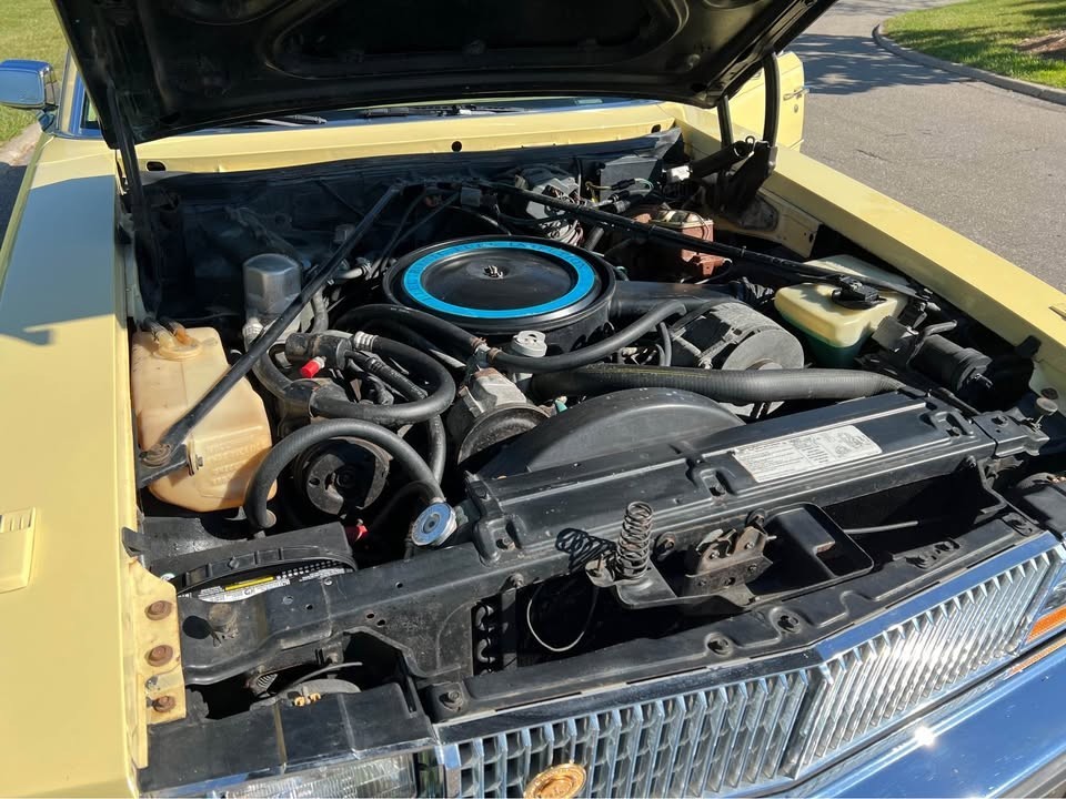 Cadillac-Seville-1978-Sedan-11