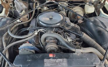 Cadillac-coupe-deville-1976-10