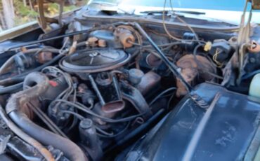 Cadillac-deville-1970-green-6