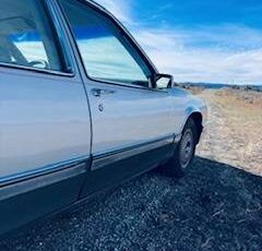 Cadillac-deville-1992-silver-15