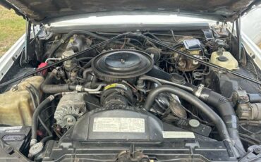 Cadillac-eldorado-1982-white-1