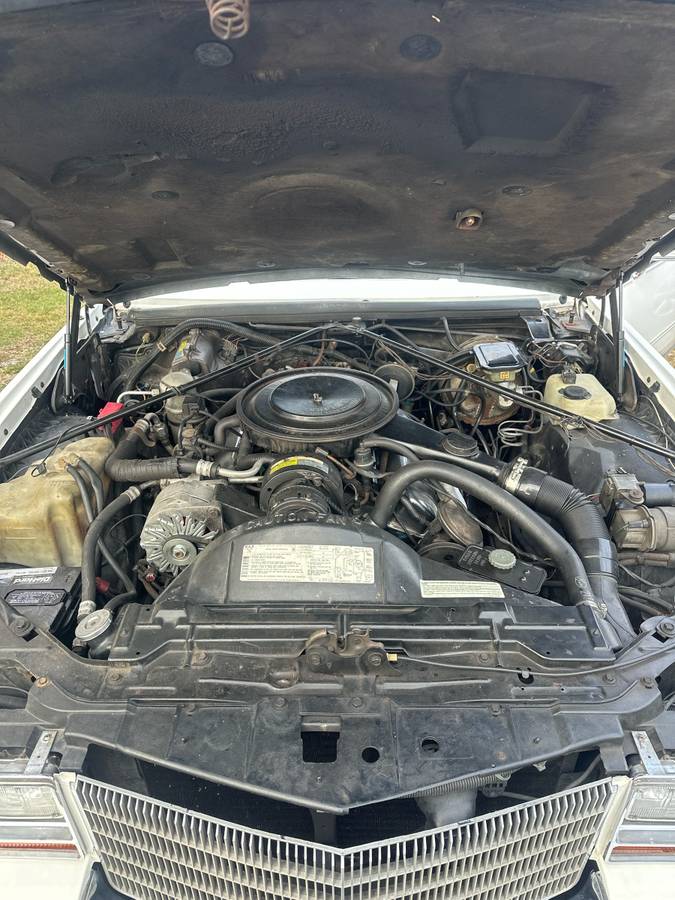 Cadillac-eldorado-1982-white-1