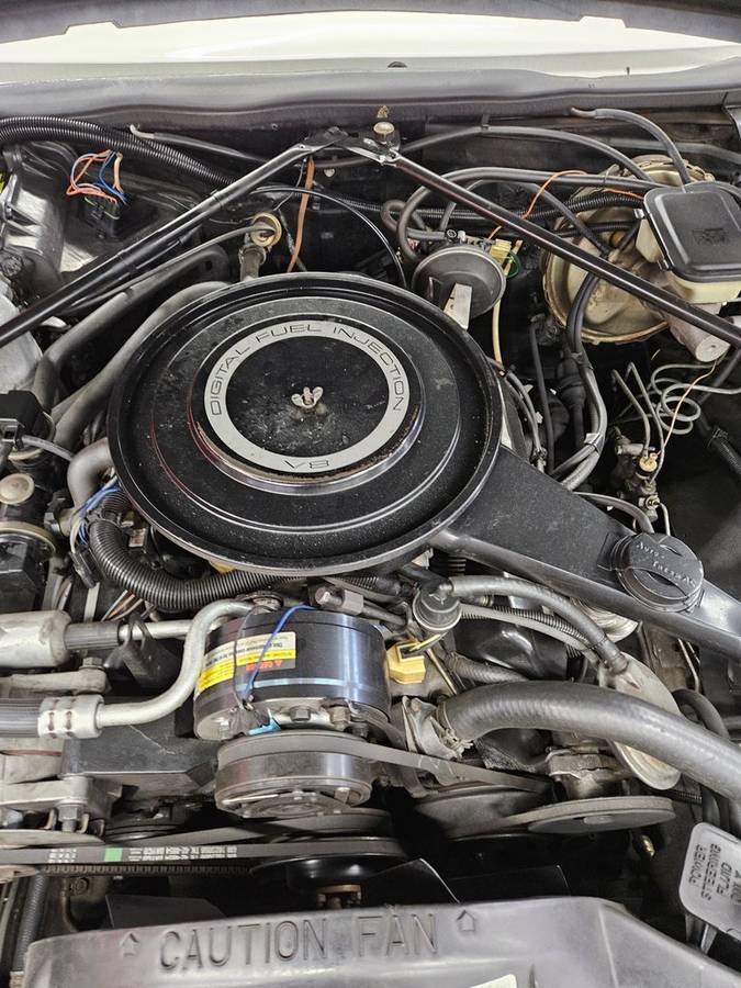 Cadillac-eldorado-1984-16