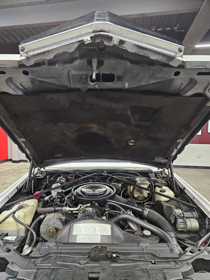 Cadillac-eldorado-1984-17