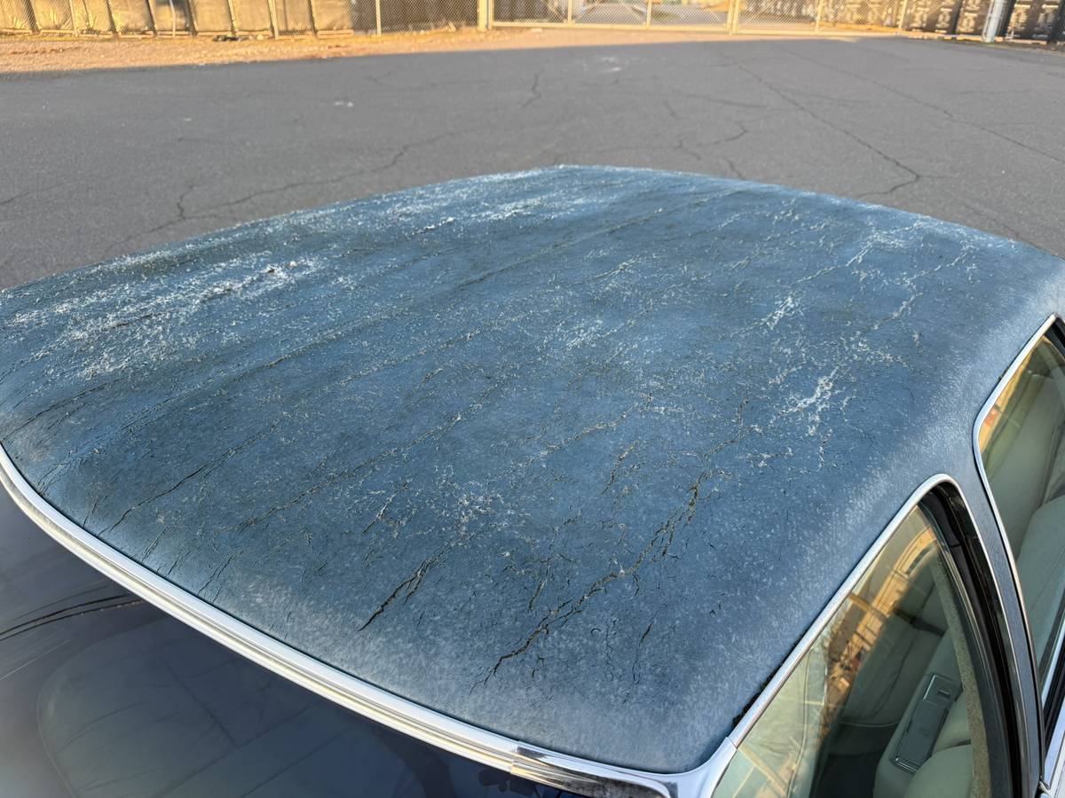 Cadillac-fleetwood-1976-white-16