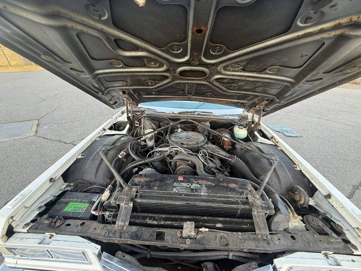 Cadillac-fleetwood-1976-white-18