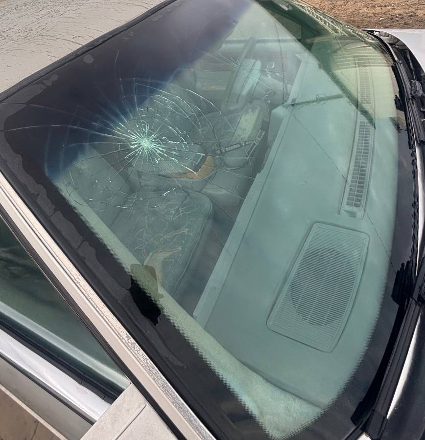 Cadillac-fleetwood-1990-silver-10