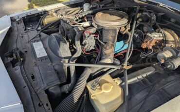 Cadillac-fleetwood-braum-1980-12