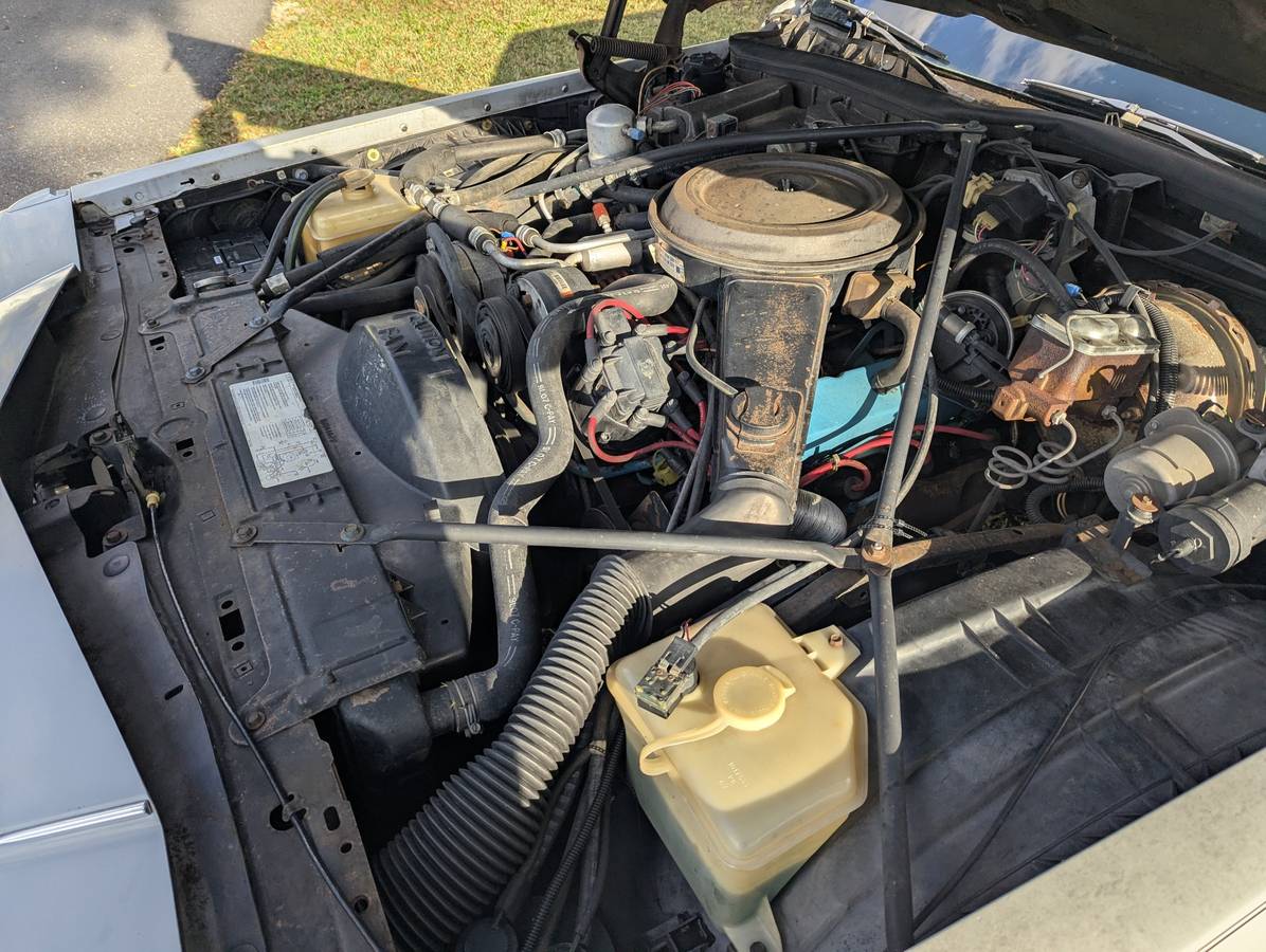 Cadillac-fleetwood-braum-1980-12