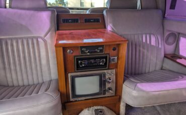 Cadillac-fleetwood-braum-1980-8