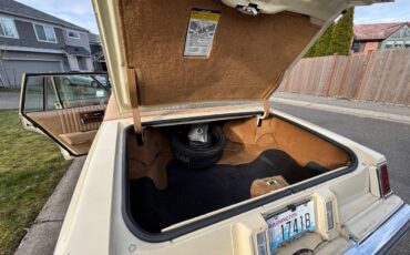 Cadillac-seville-1976-14