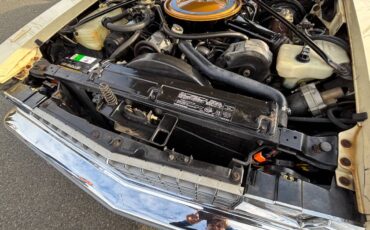 Cadillac-seville-1976-16