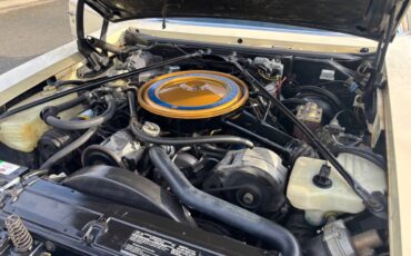 Cadillac-seville-1976-3