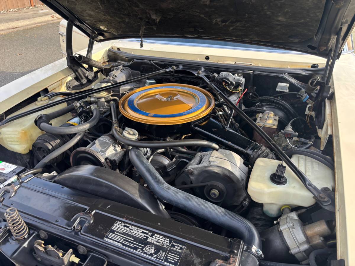 Cadillac-seville-1976-3