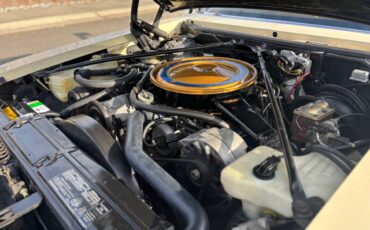 Cadillac-seville-1976-4