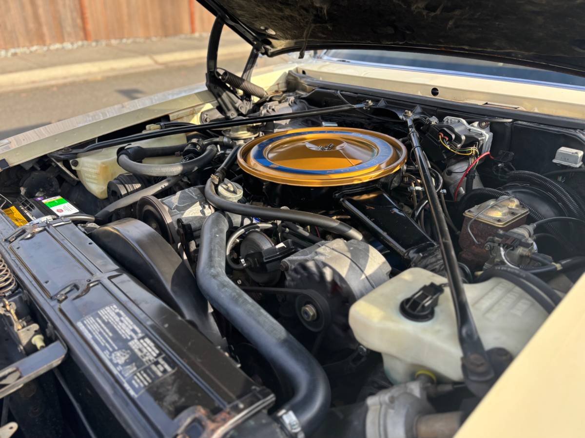 Cadillac-seville-1976-4