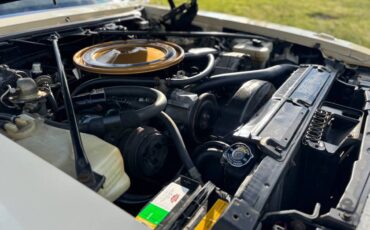 Cadillac-seville-1976-5