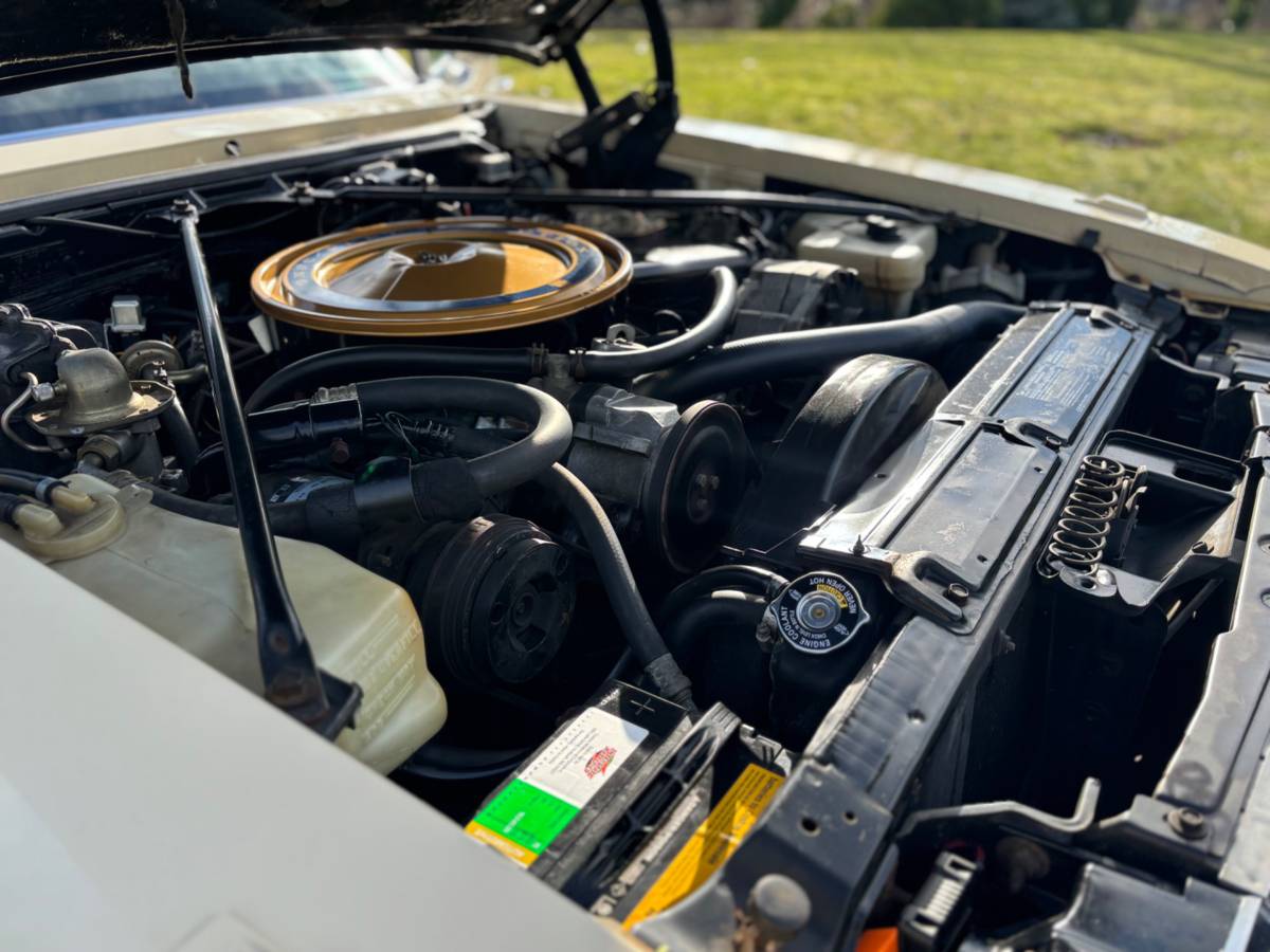 Cadillac-seville-1976-5