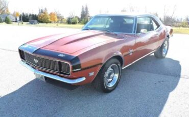 Camaro-ssrs-1968-brown