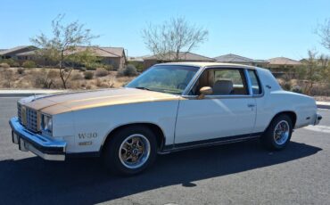 Camaromustangc10corvettechallengerchevelle-1979-3